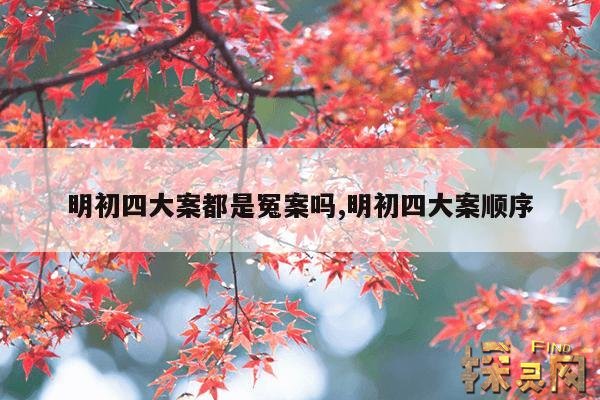 明初四大案都是冤案吗,明初四大案顺序