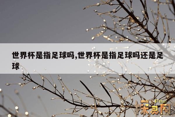 世界杯是指足球吗,世界杯是指足球吗还是足球