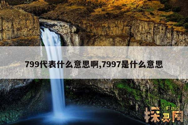 799代表什么意思啊,7997是什么意思