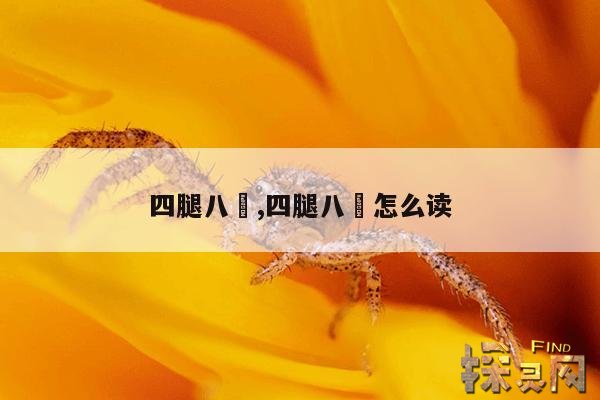 四腿八挓,四腿八挓怎么读