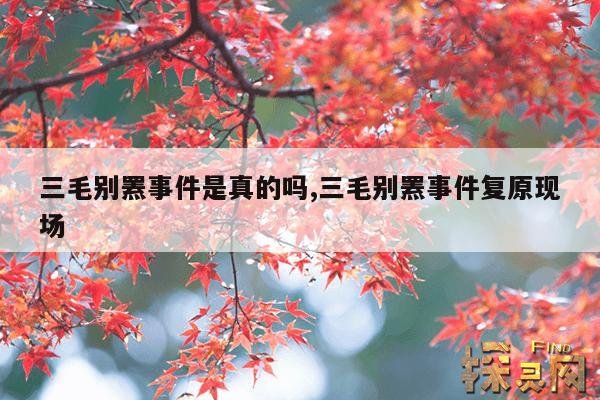 三毛别罴事件是真的吗,三毛别罴事件复原现场
