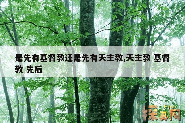 是先有基督教还是先有天主教,天主教 基督教 先后