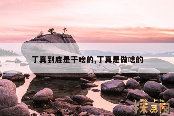 丁真到底是干啥的,丁真是做啥的