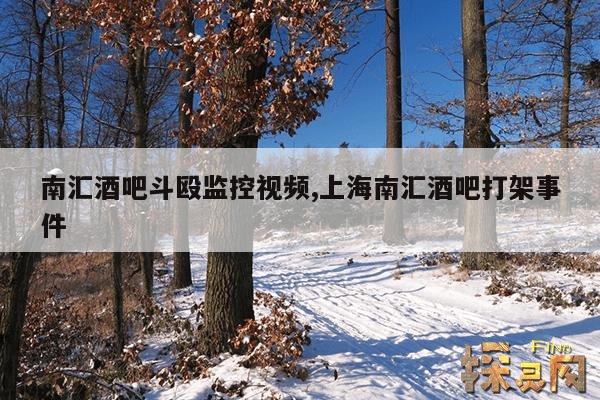 南汇酒吧斗殴监控视频,上海南汇酒吧打架事件