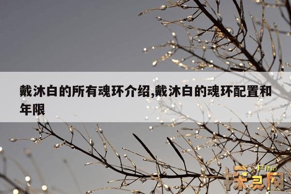 戴沐白的所有魂环介绍,戴沐白的魂环配置和年限