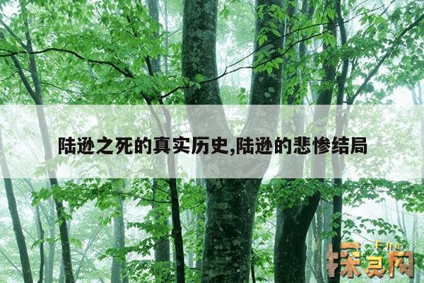 陆逊之死的真实历史,陆逊的悲惨结局