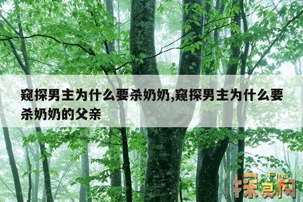 窥探男主为什么要杀奶奶,窥探男主为什么要杀奶奶的父亲