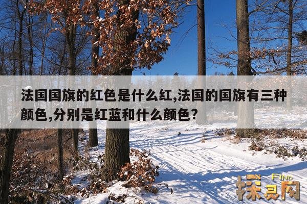 法国国旗的红色是什么红,法国的国旗有三种颜色,分别是红蓝和什么颜色?