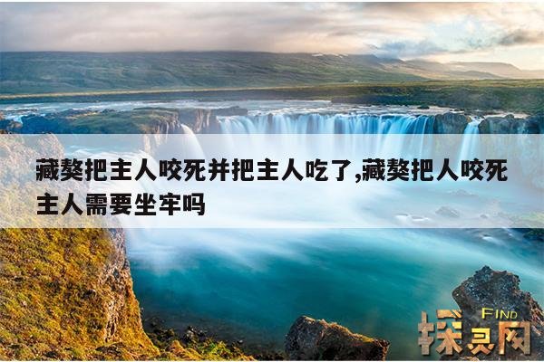 藏獒把主人咬死并把主人吃了,藏獒把人咬死主人需要坐牢吗