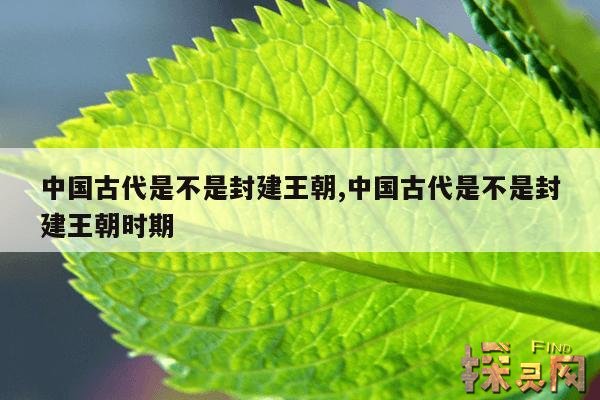 中国古代是不是封建王朝,中国古代是不是封建王朝时期