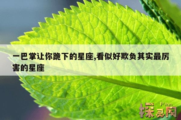 一巴掌让你跪下的星座,看似好欺负其实最厉害的星座