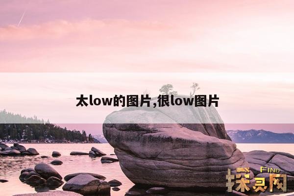 太low的图片,很low图片