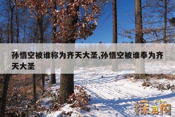 孙悟空被谁称为齐天大圣,孙悟空被谁奉为齐天大圣