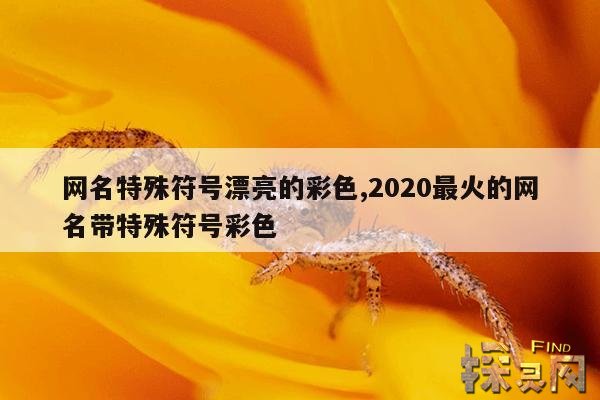 网名特殊符号漂亮的彩色,2020最火的网名带特殊符号彩色