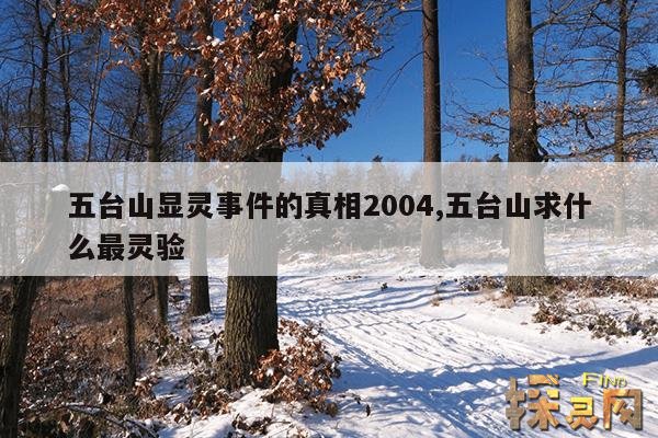 五台山显灵事件的真相2004,五台山求什么最灵验