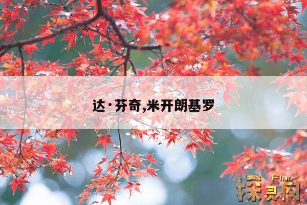 达·芬奇,米开朗基罗