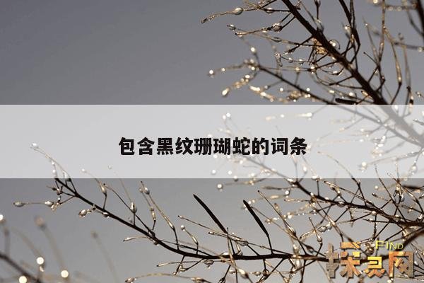 包含黑纹珊瑚蛇的词条