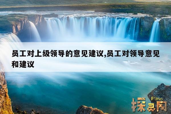员工对上级领导的意见建议,员工对领导意见和建议