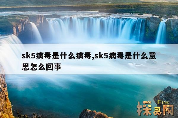 sk5病毒是什么病毒,sk5病毒是什么意思怎么回事