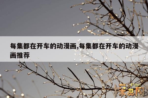 每集都在开车的动漫画,每集都在开车的动漫画推荐