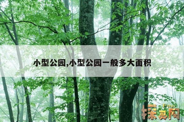 小型公园,小型公园一般多大面积