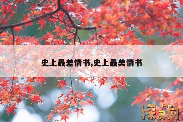 史上最差情书,史上最美情书