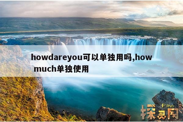 howdareyou可以单独用吗,how much单独使用