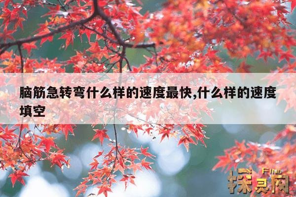 脑筋急转弯什么样的速度最快,什么样的速度填空