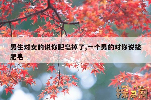 男生对女的说你肥皂掉了,一个男的对你说捡肥皂