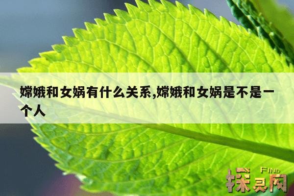 嫦娥和女娲有什么关系,嫦娥和女娲是不是一个人