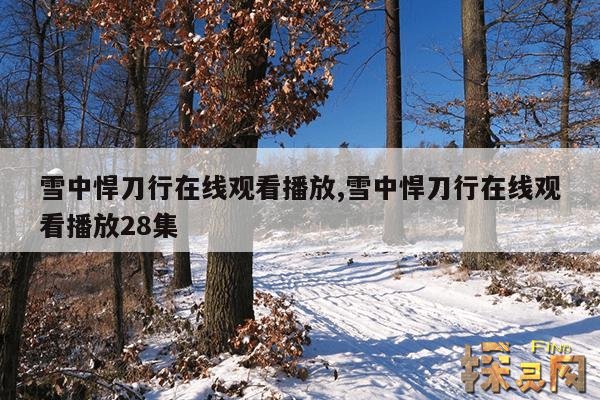 雪中悍刀行在线观看播放,雪中悍刀行在线观看播放28集