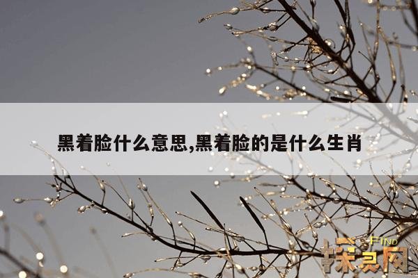 黑着脸什么意思,黑着脸的是什么生肖