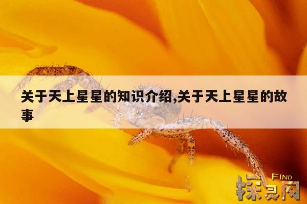 关于天上星星的知识介绍,关于天上星星的故事