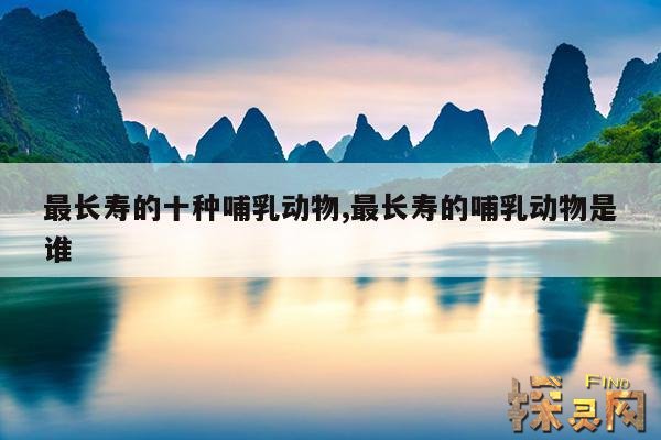 最长寿的十种哺乳动物,最长寿的哺乳动物是谁
