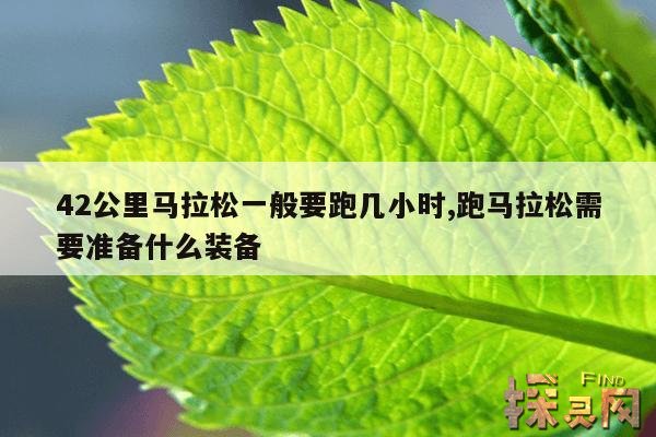 42公里马拉松一般要跑几小时,跑马拉松需要准备什么装备