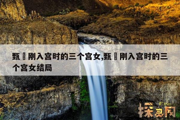 甄嬛刚入宫时的三个宫女,甄嬛刚入宫时的三个宫女结局