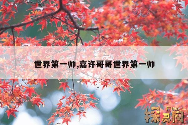 世界第一帅,嘉许哥哥世界第一帅