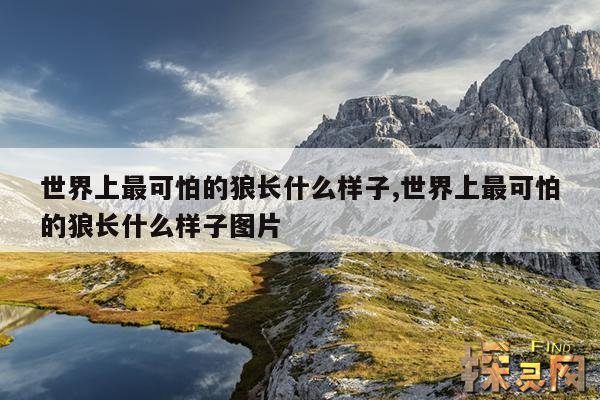 世界上最可怕的狼长什么样子,世界上最可怕的狼长什么样子图片