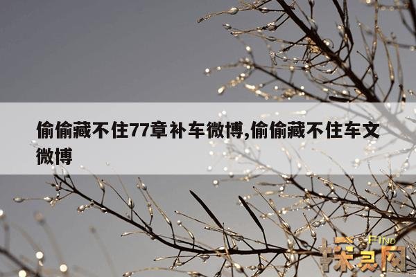 偷偷藏不住77章补车微博,偷偷藏不住车文微博