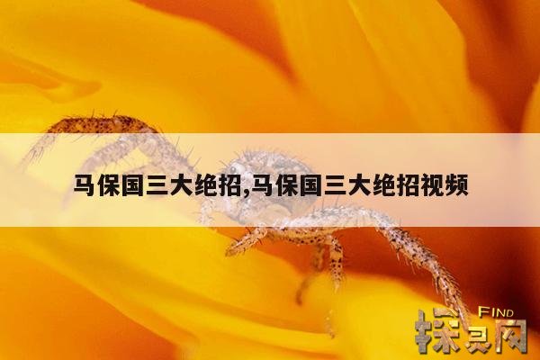 马保国三大绝招,马保国三大绝招视频