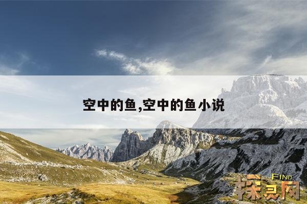 空中的鱼,空中的鱼小说