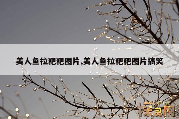 美人鱼拉粑粑图片,美人鱼拉粑粑图片搞笑