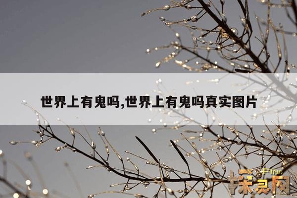 世界上有鬼吗,世界上有鬼吗真实图片