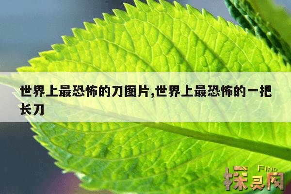 世界上最恐怖的刀图片,世界上最恐怖的一把长刀