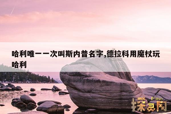 哈利唯一一次叫斯内普名字,德拉科用魔杖玩哈利