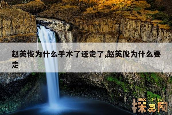 赵英俊为什么手术了还走了,赵英俊为什么要走