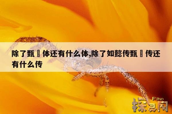 除了甄嬛体还有什么体,除了如懿传甄嬛传还有什么传
