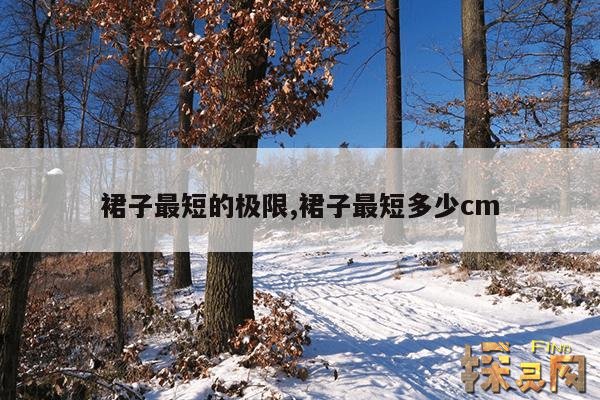 裙子最短的极限,裙子最短多少cm
