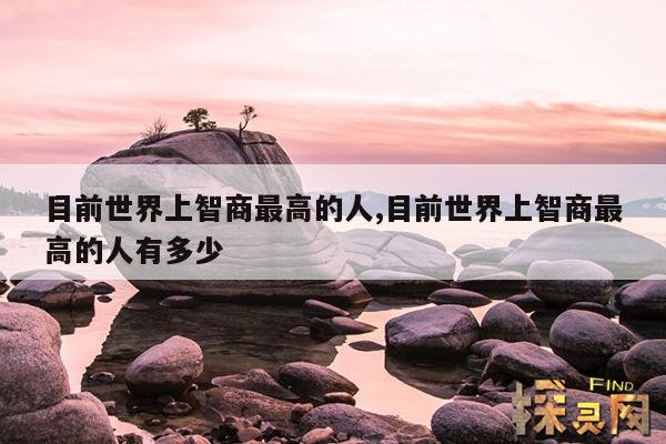 目前世界上智商最高的人,目前世界上智商最高的人有多少