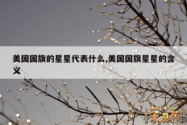 美国国旗上的星星有什么含义?
